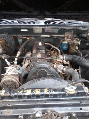 ด่วนที่สุดไมตี้หัวเดียว ปี36 89000 เล่มพร้อมโอนครับ มาก่อนได้ก่อนครับ