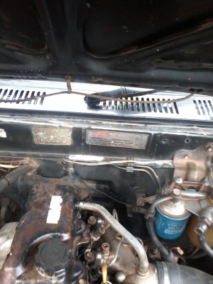 ด่วนที่สุดไมตี้หัวเดียว ปี36 89000 เล่มพร้อมโอนครับ มาก่อนได้ก่อนครับ