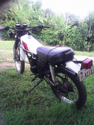 ขาย dt 100 มีทะเบียน ขาย dt 100 มีทะเบียน