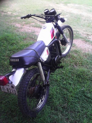 ขาย dt 100 มีทะเบียน ขาย dt 100 มีทะเบียน