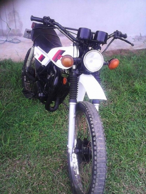 ขาย dt 100 มีทะเบียน ขาย dt 100 มีทะเบียน