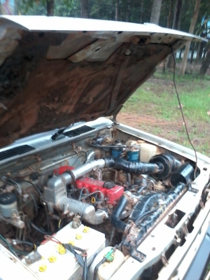 ด่วนๆBIG-M ฝาแดง หัวเดียว 79000