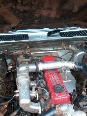 ด่วนๆBIG-M ฝาแดง หัวเดียว 79000