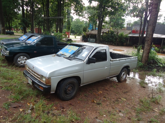 ด่วนๆBIG-M ฝาแดง หัวเดียว 79000