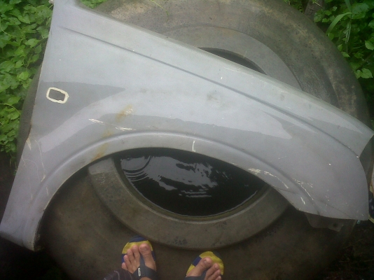 แก้มข้างด้านขวาdmax1000