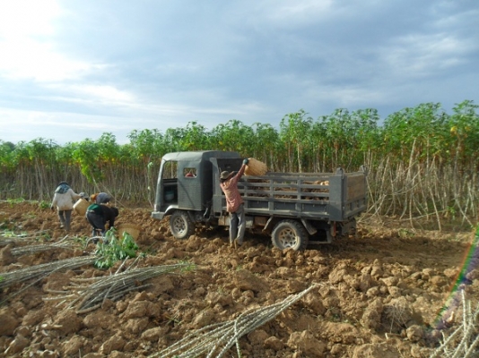 ขายรถอีแต๋นบรรทุกเพื่อการเกษตร 2เพลาดั้ม เครื่องมิตซู เทอร์โบอินเตอร์ พาวเวอร์ บรรทุก4-5ตันสบายครับ
