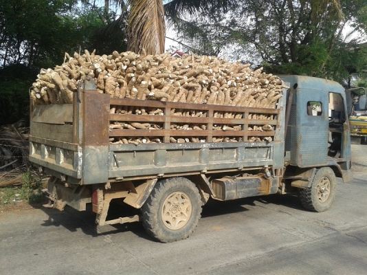 ขายรถอีแต๋นบรรทุกเพื่อการเกษตร 2เพลาดั้ม เครื่องมิตซู เทอร์โบอินเตอร์ พาวเวอร์ บรรทุก4-5ตันสบายครับ