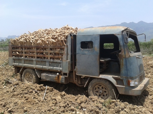 ขายรถอีแต๋นบรรทุกเพื่อการเกษตร 2เพลาดั้ม เครื่องมิตซู เทอร์โบอินเตอร์ พาวเวอร์ บรรทุก4-5ตันสบายครับ