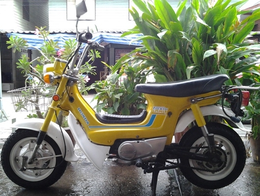 ขาย honda chaly เดิมๆ