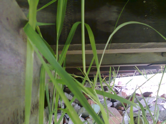 กระบะคาร์โก้ มีคอก 6 ล้อ ยาว 4.30 เมตร ขายถูกๆๆๆ