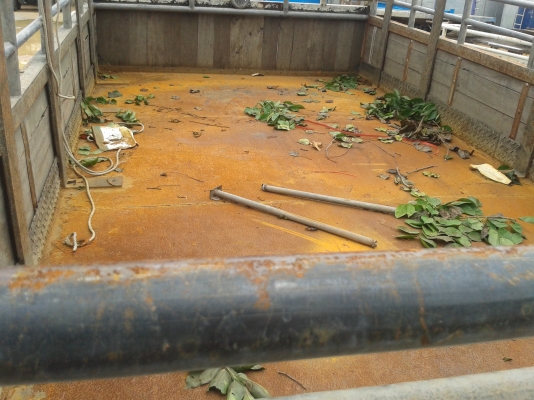 กะบะคอกเหล็ก