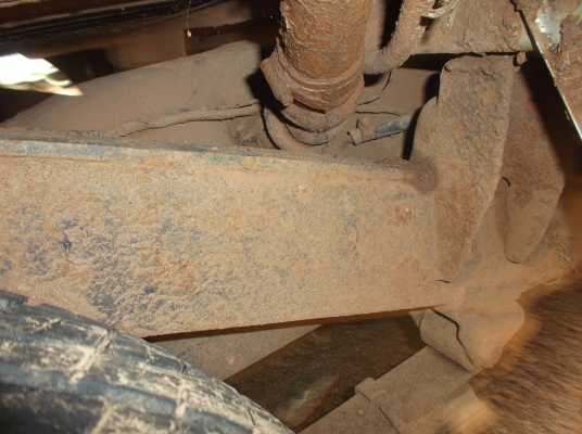 ขายดัสสัน ช้างเหยียบ 5 ขอ