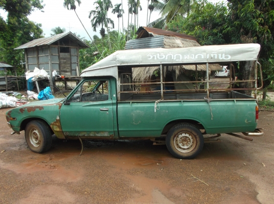 ขายดัสสัน ช้างเหยียบ 5 ขอ