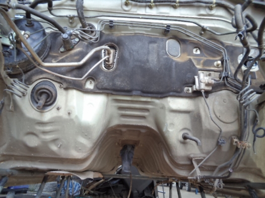 ขายหัววีโก้ตอนเดียว