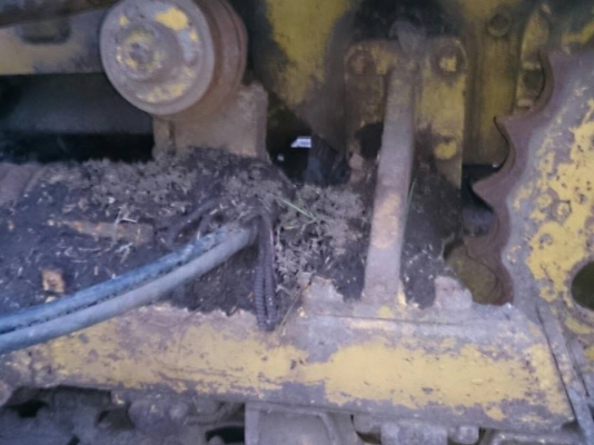 ขาย D20-5 สภาพเครื่องยนต์และระบบเลียวดีมากช่วงล่างพอใช้ได้