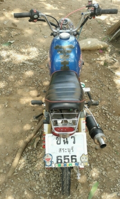 หาเจ้าของใหม่ กอลิล่าสตาร์เลี่ยน 27900