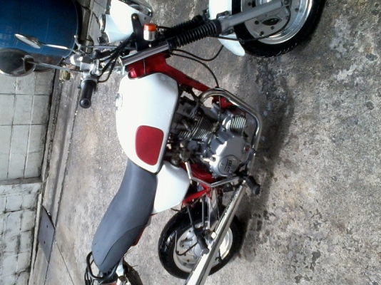 ขายรถจีนทรง honda ape 125cc ทะเบียนแท้เต็ม+โอน หรือแลก c70 ทะเบียนเต็มโอน