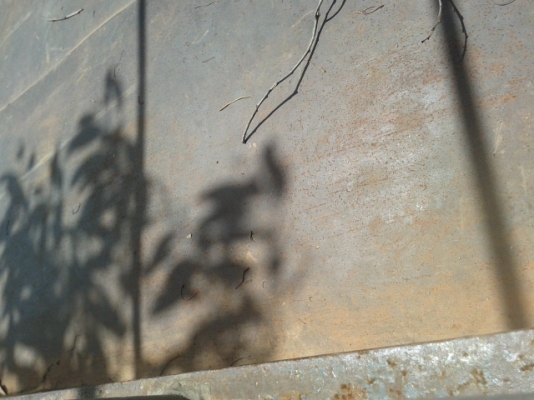 หกล้อ NPR 115 รถล่อง สั่งลุย พร้อมใช้งาน ขอบคุณมากๆๆที่ไว้วางใจในการซื้อขาย กับ พงศกร หกล้อ NPR 115 รถล่อง สั่งลุย พร้อมใช้งาน ขอบคุณมากๆๆที่ไว้วางใจในการซื้อขาย กับ พงศกร