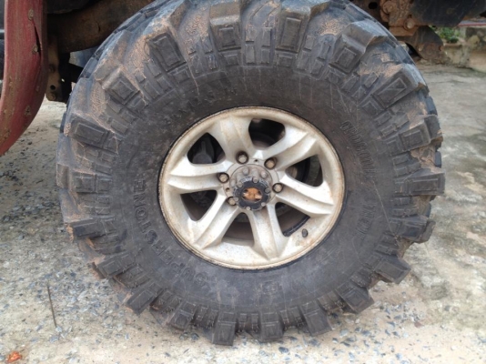 ขาย ครับ เล็บเหยี่ยว ขอบ 16'' แท้ ไม่เคยทำสี ไม่ดุ่งไม่คด สวยๆเลย