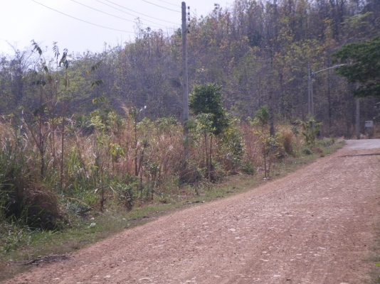 ขายที่ดิน  (ขอบคุณที่เข้าชมครับ)ไร่ละ180,000นํ้าประปา ไฟฟ้าพร้อม