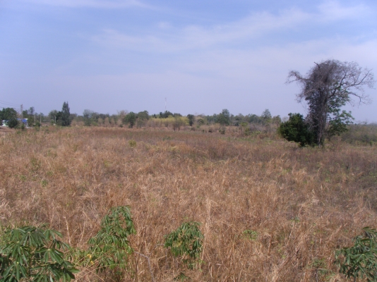 ขายที่ดิน  (ขอบคุณที่เข้าชมครับ)ไร่ละ180,000นํ้าประปา ไฟฟ้าพร้อม