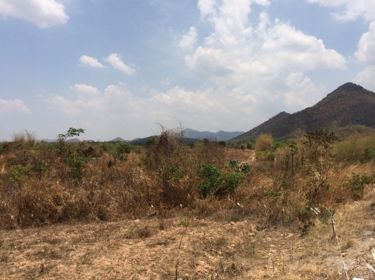 ขายที่ดิน  (ขอบคุณที่เข้าชมครับ)ไร่ละ180,000นํ้าประปา ไฟฟ้าพร้อม