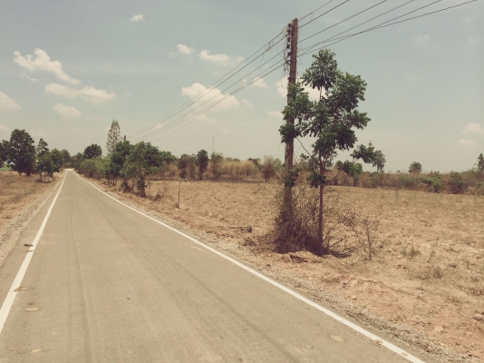 ขายที่ดิน  (ขอบคุณที่เข้าชมครับ)ไร่ละ180,000นํ้าประปา ไฟฟ้าพร้อม