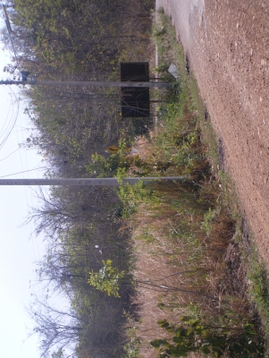 ขายที่ดิน  (ขอบคุณที่เข้าชมครับ)ไร่ละ180,000นํ้าประปา ไฟฟ้าพร้อม