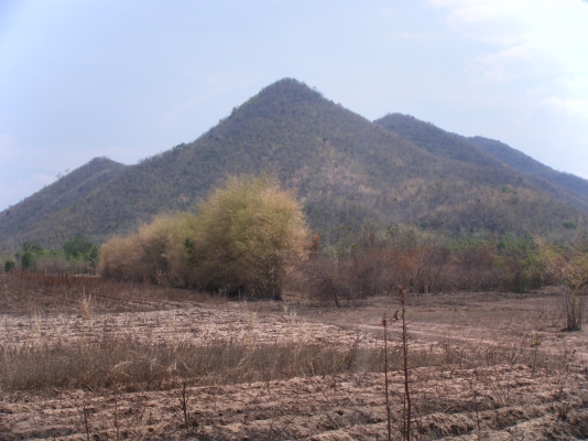 ขายที่ดิน  (ขอบคุณที่เข้าชมครับ)ไร่ละ180,000นํ้าประปา ไฟฟ้าพร้อม