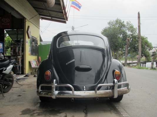 เต่าตาหวานปี 66