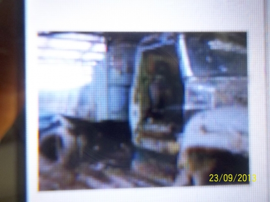 ขายอิซูสุ 6 ล้อหัวยาวดั้มเอาไปปั้นต่อ