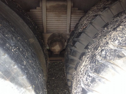 รถอีซูซุ 10 ล้อ รั่ว FVM 175 แรงม้า   สนใจติดต่อ 081 - 6079515