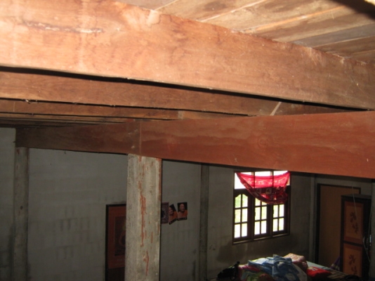 ไม้บ้าน สภาพเนื้อดี ดูแลอย่างดีไม่มีปลวก เสา 21 ต้น ระยะห่างกัน 3.50 เมตร ไม้บ้าน สภาพเนื้อดี ดูแลอย่างดีไม่มีปลวก เสา 21 ต้น ระยะห่างกัน 3.50 เมตร