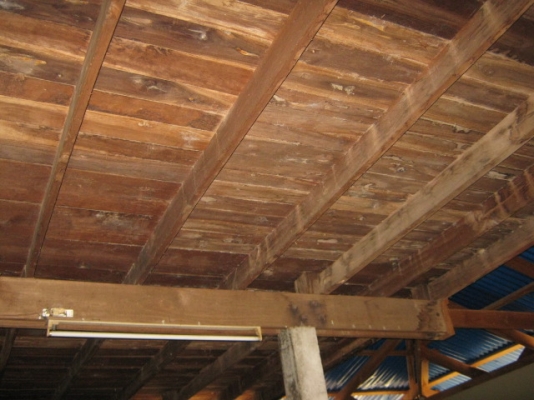 ไม้บ้าน สภาพเนื้อดี ดูแลอย่างดีไม่มีปลวก เสา 21 ต้น ระยะห่างกัน 3.50 เมตร ไม้บ้าน สภาพเนื้อดี ดูแลอย่างดีไม่มีปลวก เสา 21 ต้น ระยะห่างกัน 3.50 เมตร