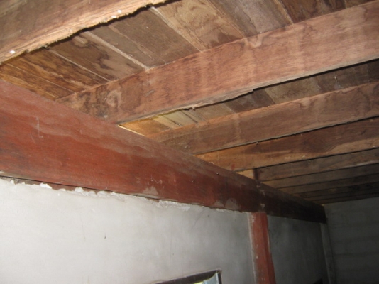 ไม้บ้าน สภาพเนื้อดี ดูแลอย่างดีไม่มีปลวก เสา 21 ต้น ระยะห่างกัน 3.50 เมตร ไม้บ้าน สภาพเนื้อดี ดูแลอย่างดีไม่มีปลวก เสา 21 ต้น ระยะห่างกัน 3.50 เมตร