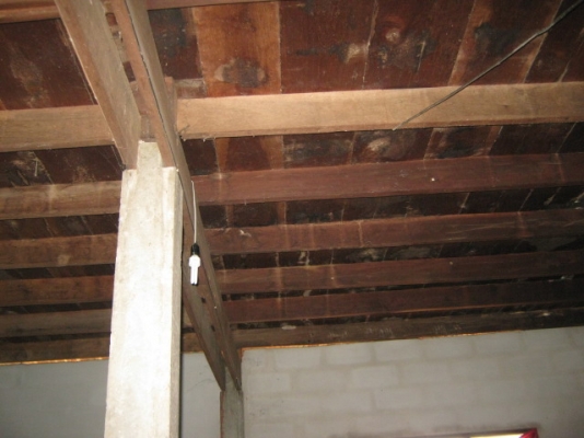 ไม้บ้าน สภาพเนื้อดี ดูแลอย่างดีไม่มีปลวก เสา 21 ต้น ระยะห่างกัน 3.50 เมตร ไม้บ้าน สภาพเนื้อดี ดูแลอย่างดีไม่มีปลวก เสา 21 ต้น ระยะห่างกัน 3.50 เมตร