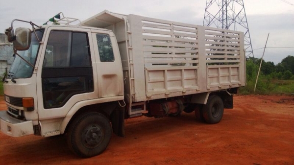 รถอีซูซุ 6 ล้อดั้ม FRR 175 แรงม้า  สนใจติดต่อ 081 - 6079515