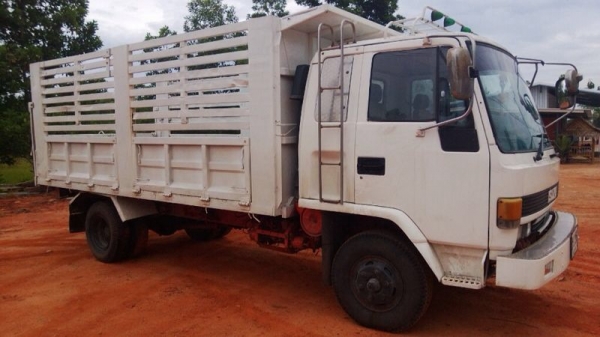 รถอีซูซุ 6 ล้อดั้ม FRR 175 แรงม้า  สนใจติดต่อ 081 - 6079515