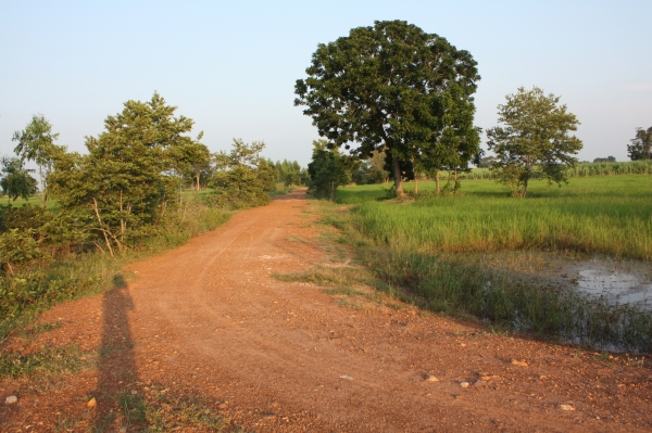 ขายที่ดิน 12 ไร่ ไฟฟ้า3เฟส น้ำบาดาลเจาะออก ห่างจากถนนหลวงแผ่นดิน 80 เมตร อ.เลาขวัญ จ.กาญจนบุรี