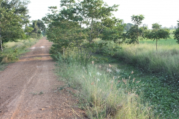 ขายที่ดิน 12 ไร่ ไฟฟ้า3เฟส น้ำบาดาลเจาะออก ห่างจากถนนหลวงแผ่นดิน 80 เมตร อ.เลาขวัญ จ.กาญจนบุรี