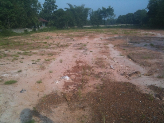 ขายที่ดินเปล่าถมแล้ว แปลงละ 60 ตารางวาๆ ละ 5,000 บาท