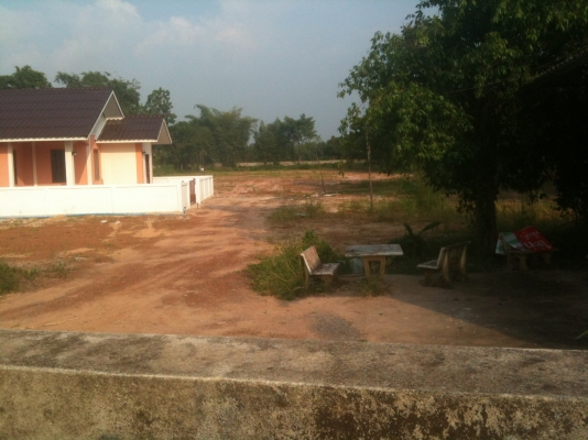 ขายที่ดินเปล่าถมแล้ว แปลงละ 60 ตารางวาๆ ละ 5,000 บาท