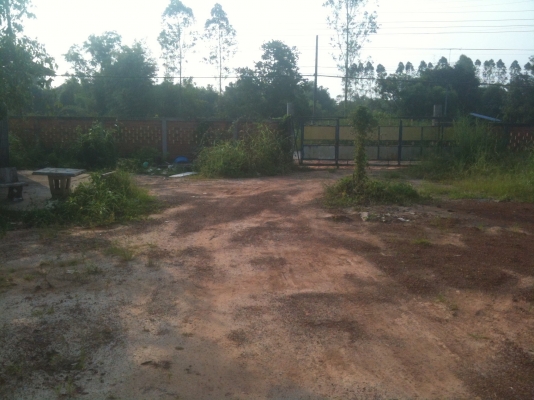 ขายที่ดินเปล่าถมแล้ว แปลงละ 60 ตารางวาๆ ละ 5,000 บาท