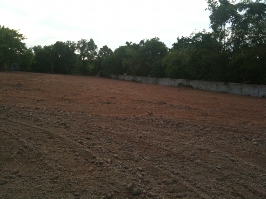 ขายที่ดินเปล่าถมแล้ว แปลงละ 60 ตารางวาๆ ละ 5,000 บาท