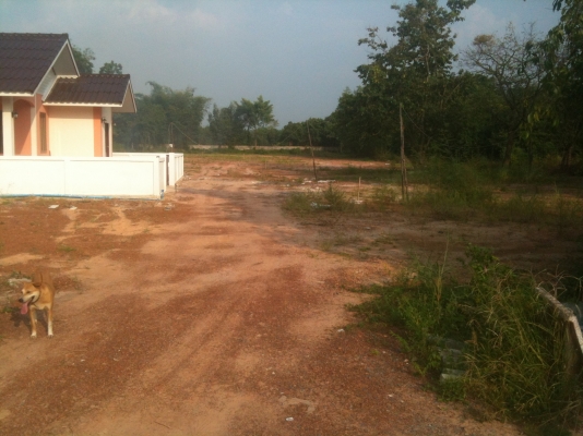 ขายที่ดินเปล่าถมแล้ว แปลงละ 60 ตารางวาๆ ละ 5,000 บาท