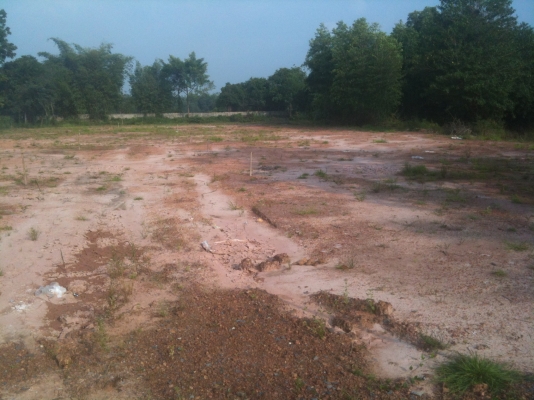 ขายที่ดินเปล่าถมแล้ว แปลงละ 60 ตารางวาๆ ละ 5,000 บาท