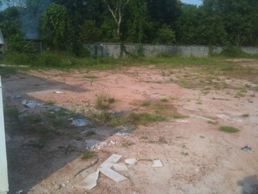 ขายที่ดินเปล่าถมแล้ว แปลงละ 60 ตารางวาๆ ละ 5,000 บาท