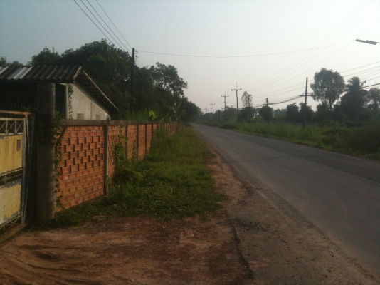 ขายที่ดินเปล่าถมแล้ว แปลงละ 60 ตารางวาๆ ละ 5,000 บาท