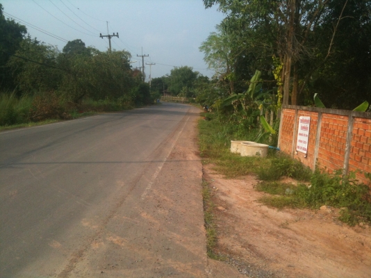 ขายที่ดินเปล่าถมแล้ว แปลงละ 60 ตารางวาๆ ละ 5,000 บาท