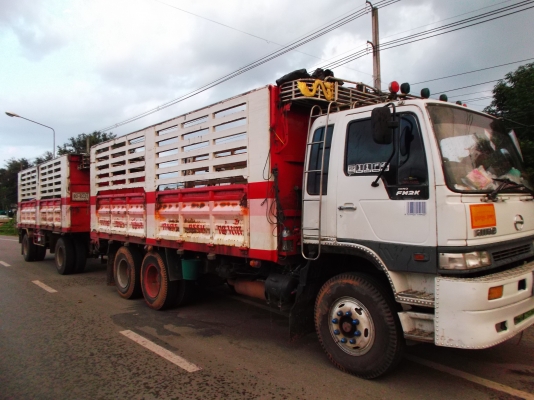 ขายด่วนรถสิบล้อFM2Kไมดรั้มเครืองK13Dปี43ขายดาวน์495000